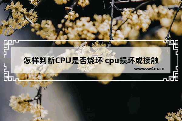 怎样判断CPU是否烧坏 cpu损坏或接触不良症状