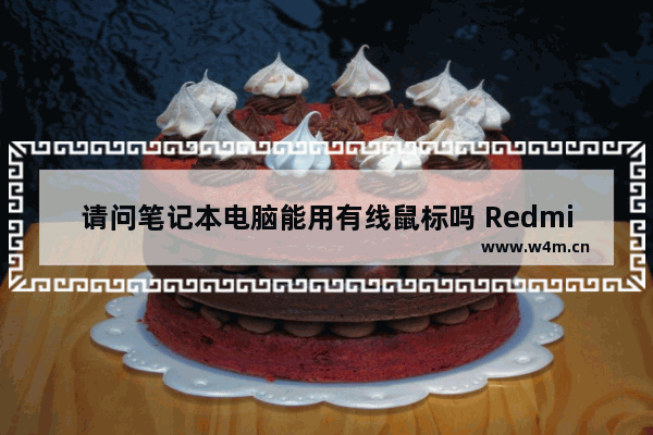 请问笔记本电脑能用有线鼠标吗 RedmiBook Air 13怎么安装无线鼠标