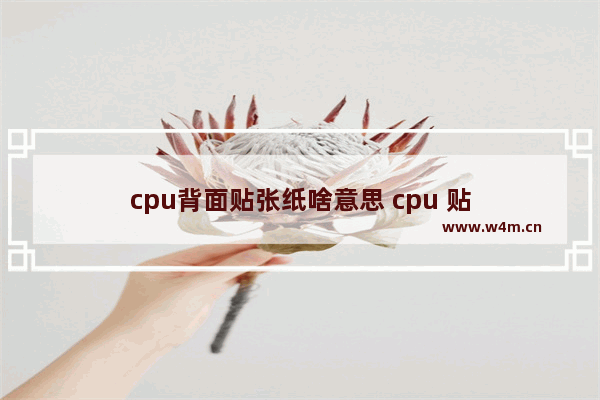 cpu背面贴张纸啥意思 cpu 贴