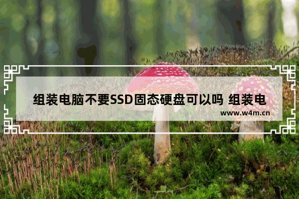 组装电脑不要SSD固态硬盘可以吗 组装电脑用固态硬盘