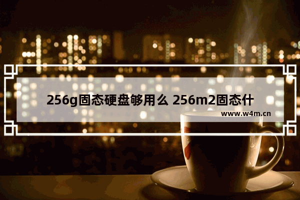 256g固态硬盘够用么 256m2固态什么意思