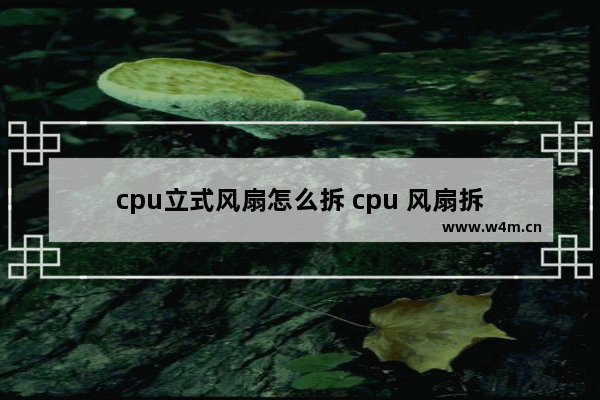 cpu立式风扇怎么拆 cpu 风扇拆