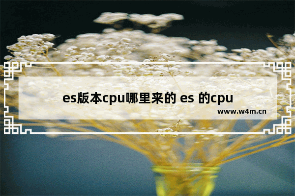 es版本cpu哪里来的 es 的cpu