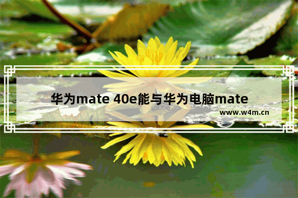 华为mate 40e能与华为电脑mate book14连用么 多显示器连用