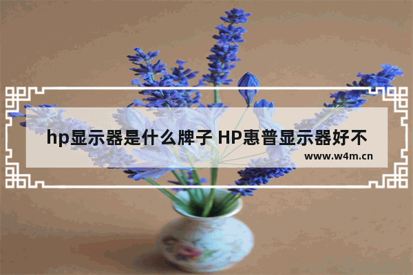 hp显示器是什么牌子 HP惠普显示器好不好