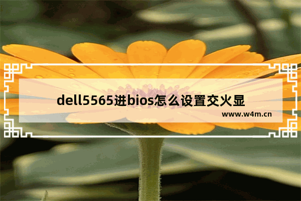 dell5565进bios怎么设置交火显卡 dell/戴尔 灵越ins15 5565-r1225a和xiaomi/小米 小米笔记本air 13.3哪个好