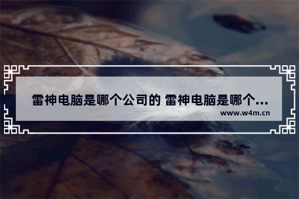 雷神电脑是哪个公司的 雷神电脑是哪个公司的