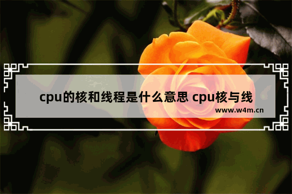 cpu的核和线程是什么意思 cpu核与线程