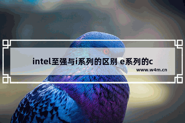 intel至强与i系列的区别 e系列的cpu和i系列的有什么区别