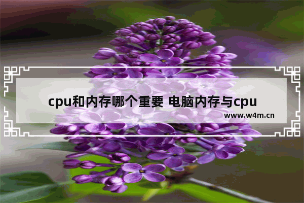 cpu和内存哪个重要 电脑内存与cpu