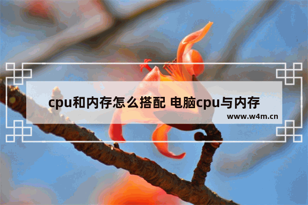 cpu和内存怎么搭配 电脑cpu与内存