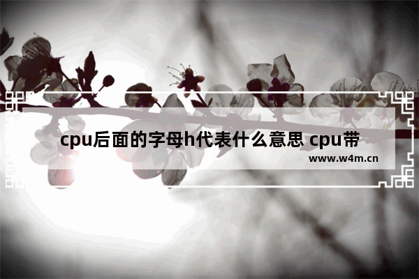 cpu后面的字母h代表什么意思 cpu带h和不带h的区别