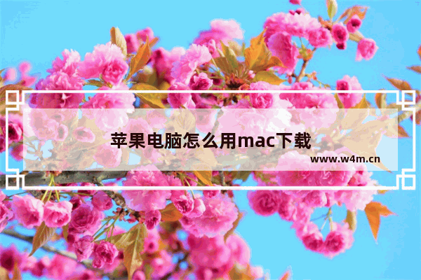 苹果电脑怎么用mac下载