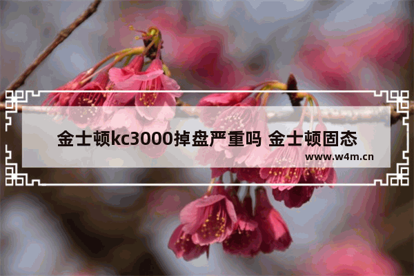 金士顿kc3000掉盘严重吗 金士顿固态硬盘找不到盘怎么修理