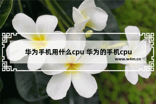 华为手机用什么cpu 华为的手机cpu