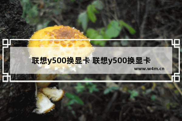 联想y500换显卡 联想y500换显卡