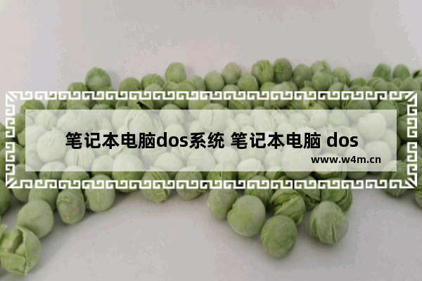 笔记本电脑dos系统 笔记本电脑 dos