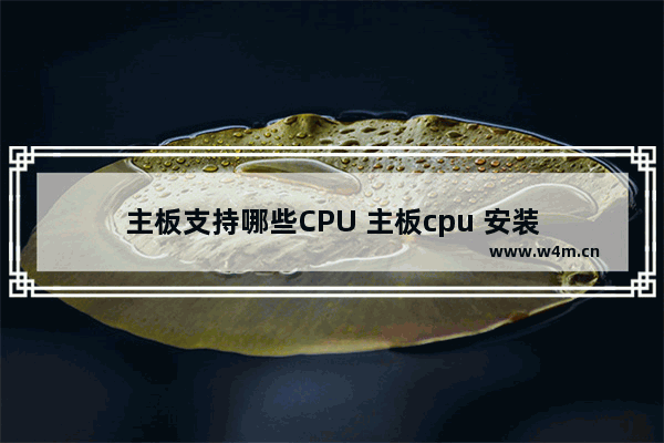 主板支持哪些CPU 主板cpu 安装