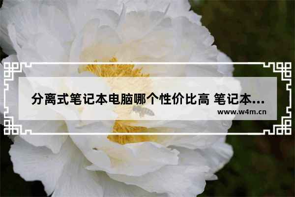 分离式笔记本电脑哪个性价比高 笔记本电脑 分体