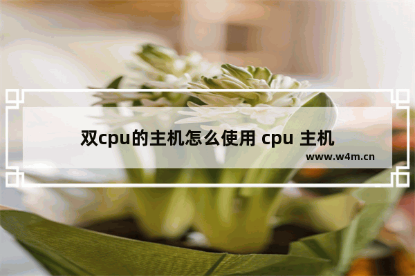 双cpu的主机怎么使用 cpu 主机