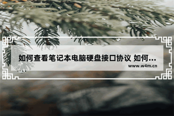 如何查看笔记本电脑硬盘接口协议 如何查看笔记本固态支持什么协议