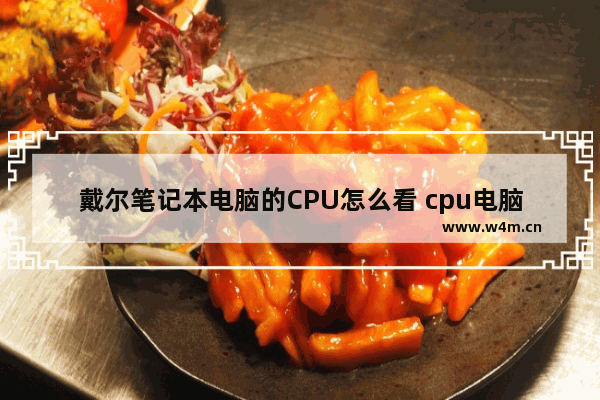 戴尔笔记本电脑的CPU怎么看 cpu电脑怎么看