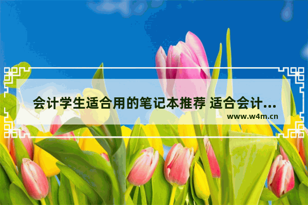 会计学生适合用的笔记本推荐 适合会计专业学生的笔记本电脑有哪些推荐