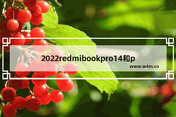 2022redmibookpro14和pro15哪个好 procreate要什么电脑