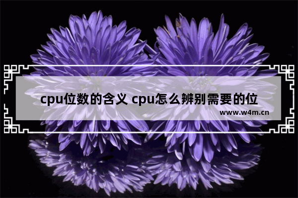 cpu位数的含义 cpu怎么辨别需要的位数