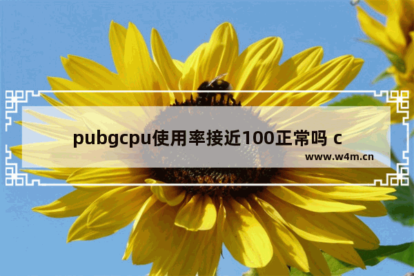 pubgcpu使用率接近100正常吗 cpu 绝地求生