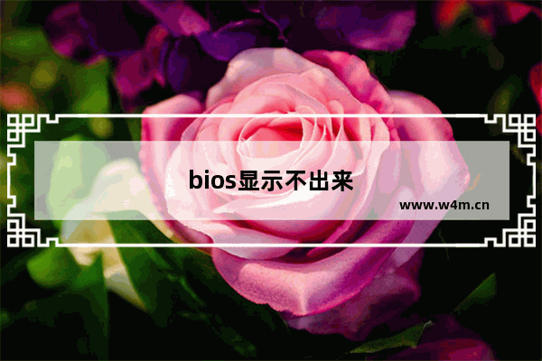 bios显示不出来