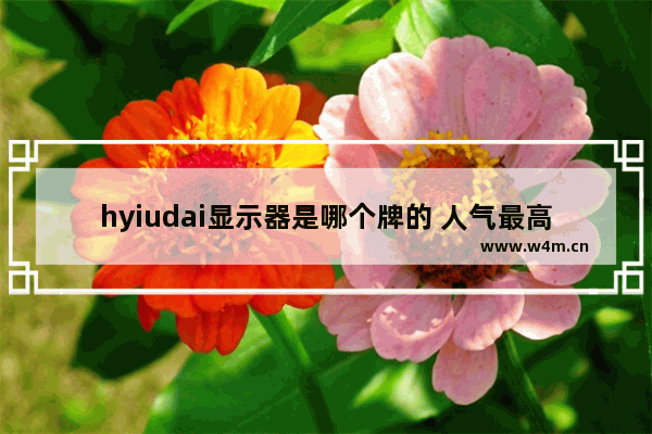 hyiudai显示器是哪个牌的 人气最高的电脑显示器品牌