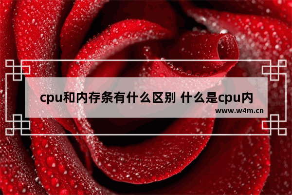 cpu和内存条有什么区别 什么是cpu内存