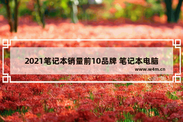 2021笔记本销量前10品牌 笔记本电脑买哪个品牌实用