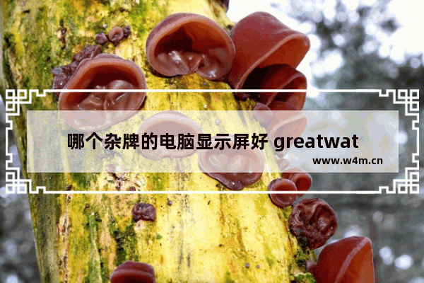 哪个杂牌的电脑显示屏好 greatwatt显示器是不是杂牌子