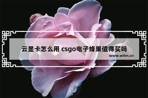 云显卡怎么用 csgo电子蜂巢值得买吗