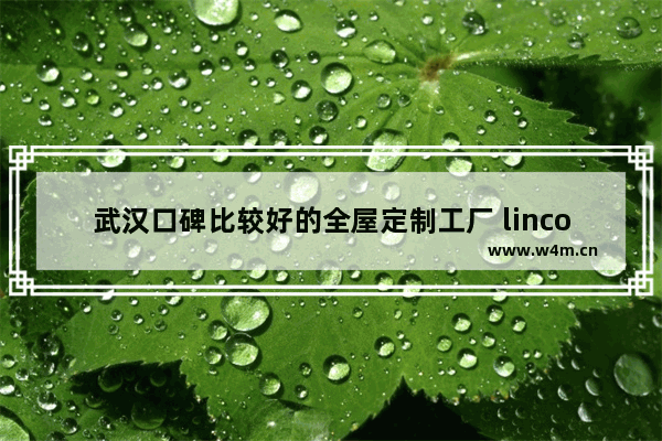 武汉口碑比较好的全屋定制工厂 lincom是什么牌子