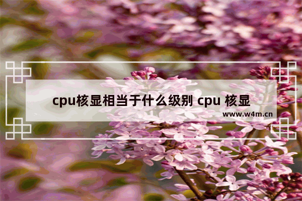 cpu核显相当于什么级别 cpu 核显