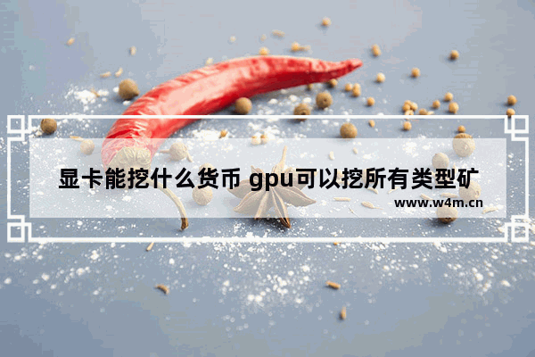 显卡能挖什么货币 gpu可以挖所有类型矿吗