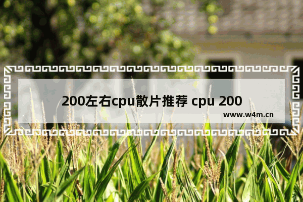 200左右cpu散片推荐 cpu 200