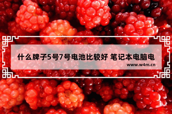 什么牌子5号7号电池比较好 笔记本电脑电池用什么品牌