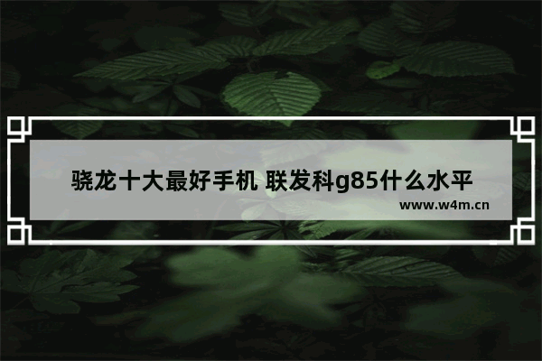 骁龙十大最好手机 联发科g85什么水平