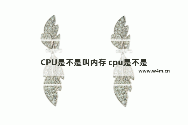 CPU是不是叫内存 cpu是不是