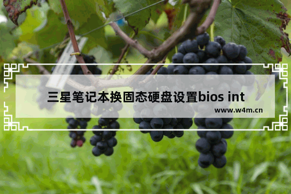 三星笔记本换固态硬盘设置bios inter535固态硬盘和2500pro企业版那个好