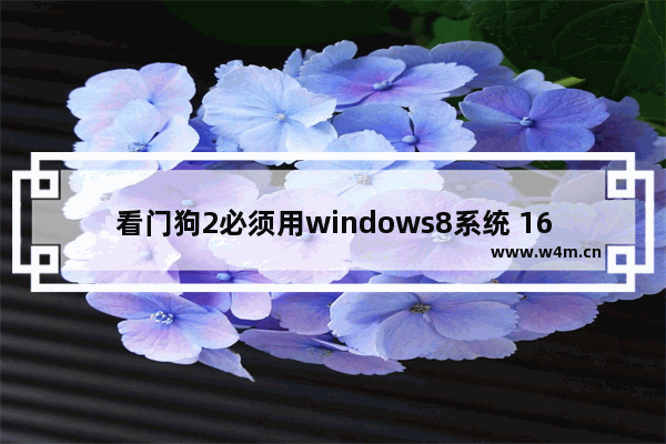 看门狗2必须用windows8系统 1650ti能玩看门狗2吗