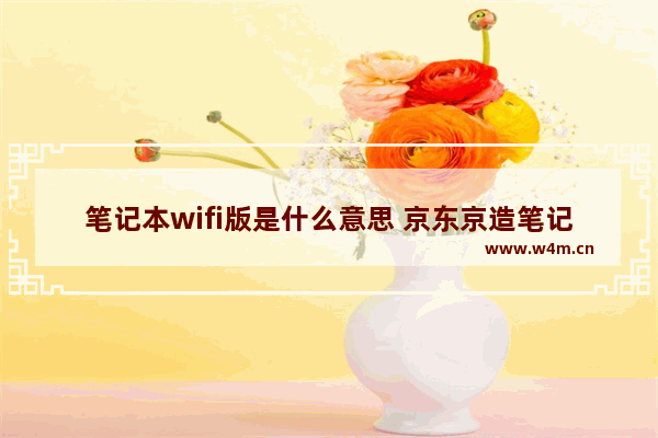 笔记本wifi版是什么意思 京东京造笔记本如何连无线