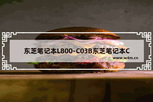 东芝笔记本L800-C03B东芝笔记本C850-C09S哪个好 atiradeonhd7600mseries这是一款怎么样的显卡请具体一些