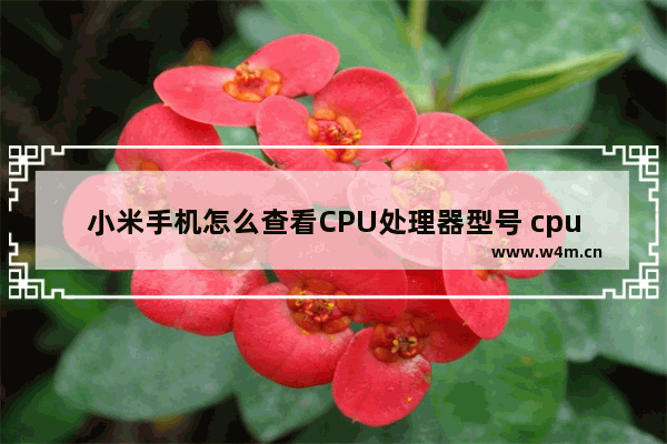 小米手机怎么查看CPU处理器型号 cpu核怎么看