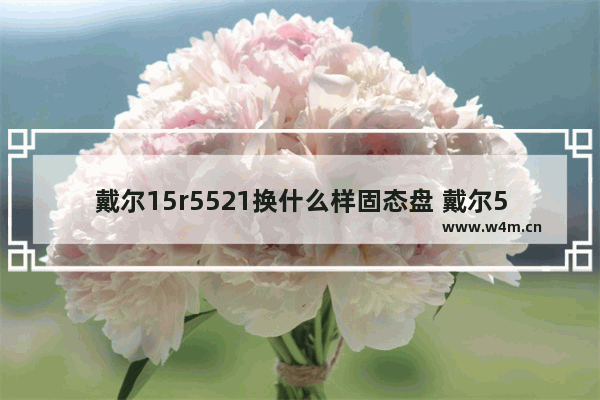 戴尔15r5521换什么样固态盘 戴尔5521安装固态硬盘