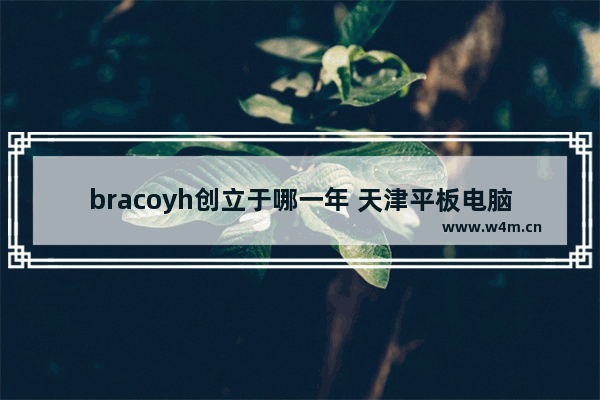 bracoyh创立于哪一年 天津平板电脑智能主板销售